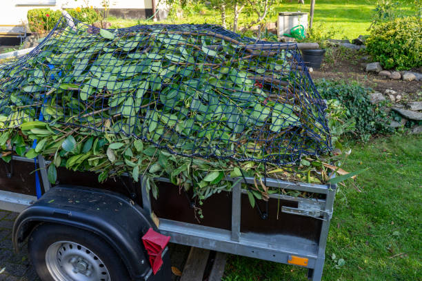 Best Electronics and E-Waste Disposal  in Oregon, WI